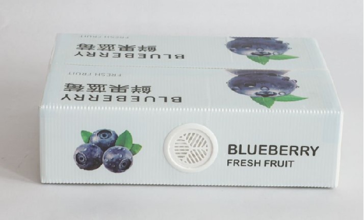 Shandong Zangrun Environmental Protection Technology Co., Ltd